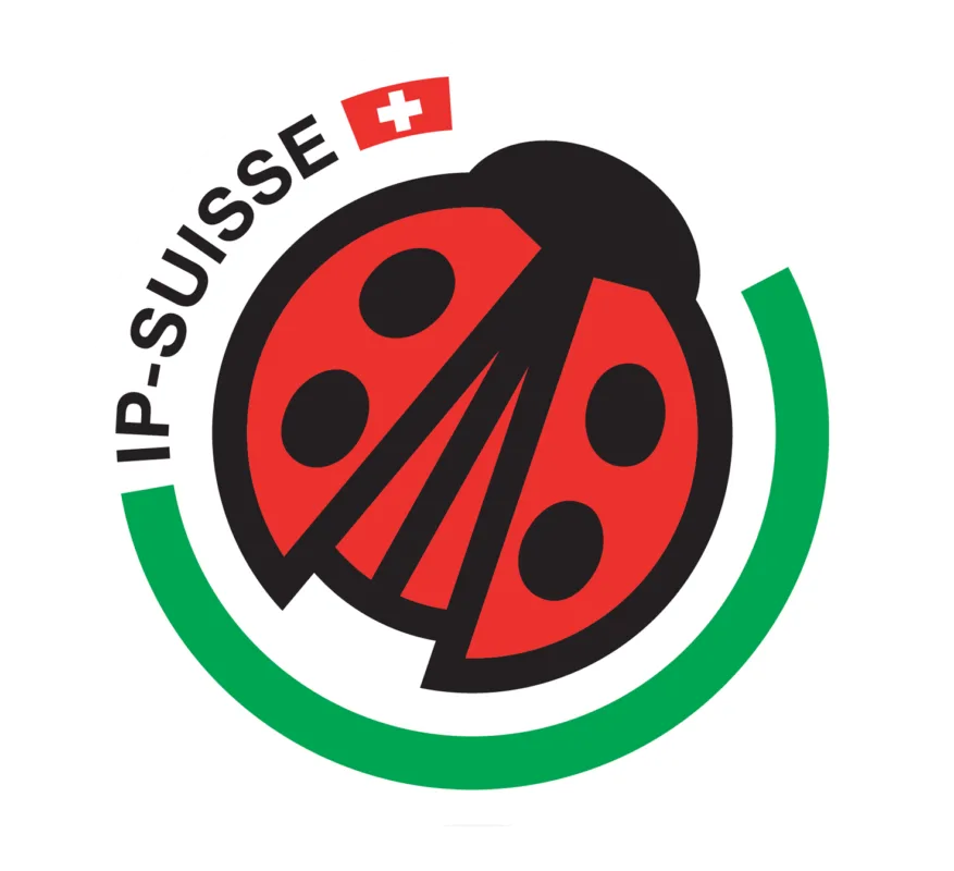 IP-Suisse