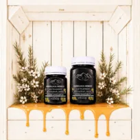 Manuka Honig BASIC 1